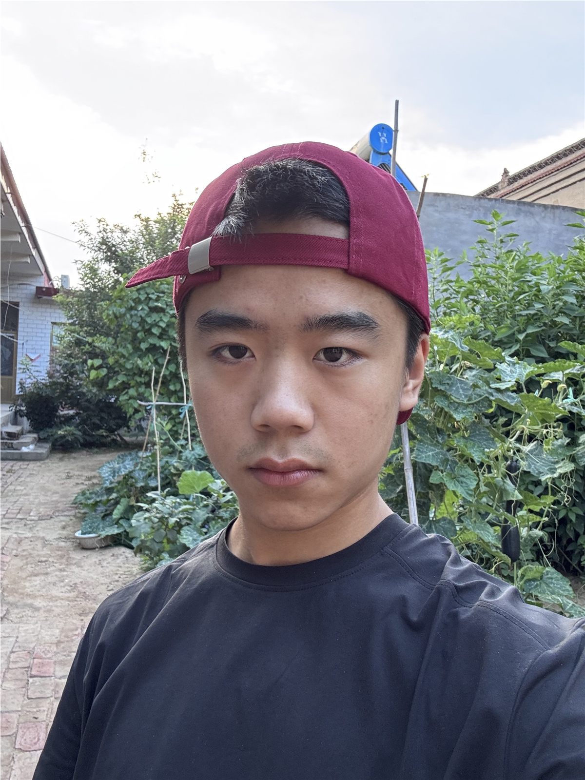 照片 8