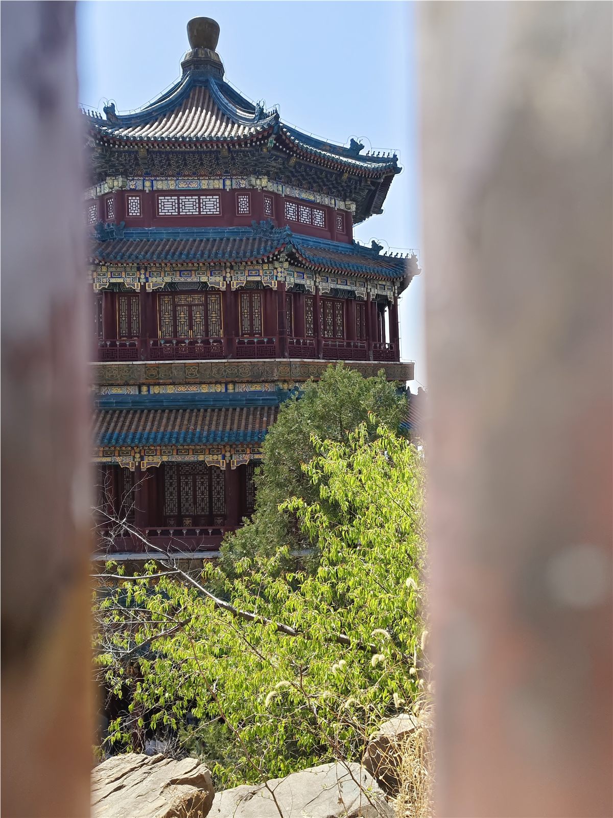 照片 10