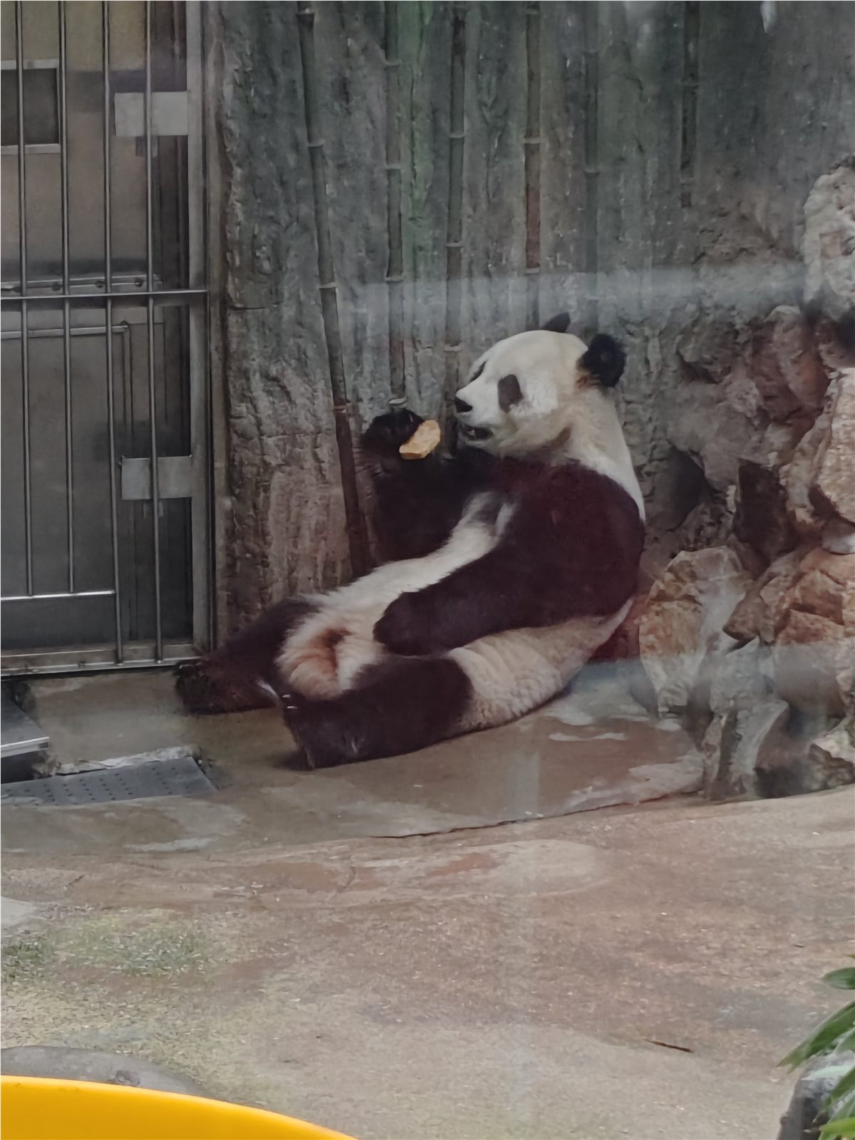 照片 17