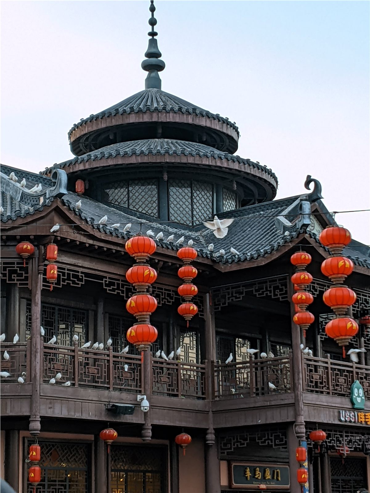 照片 9